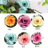 uploads/erp/collection/images/Home Garden/CongDing/XU0612269/img_b/XU0612269_img_b_4